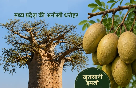 8 GI-Tagged Agriculture & Horticulture Products of Madhya Pradesh